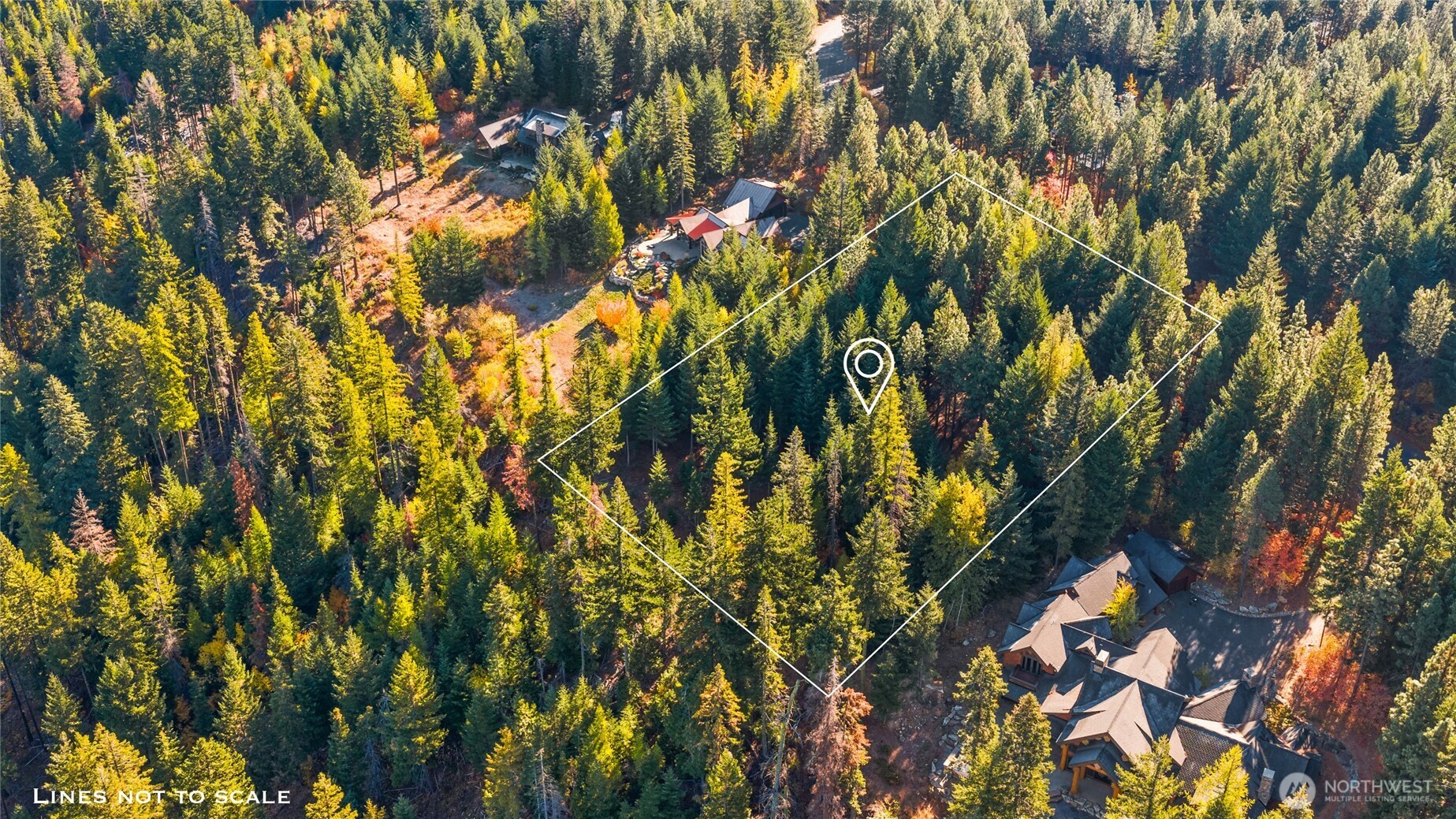 430 Iron Monarch Loop Cle Elum, WA 98922 - Photo 19 of 35 a view of tree