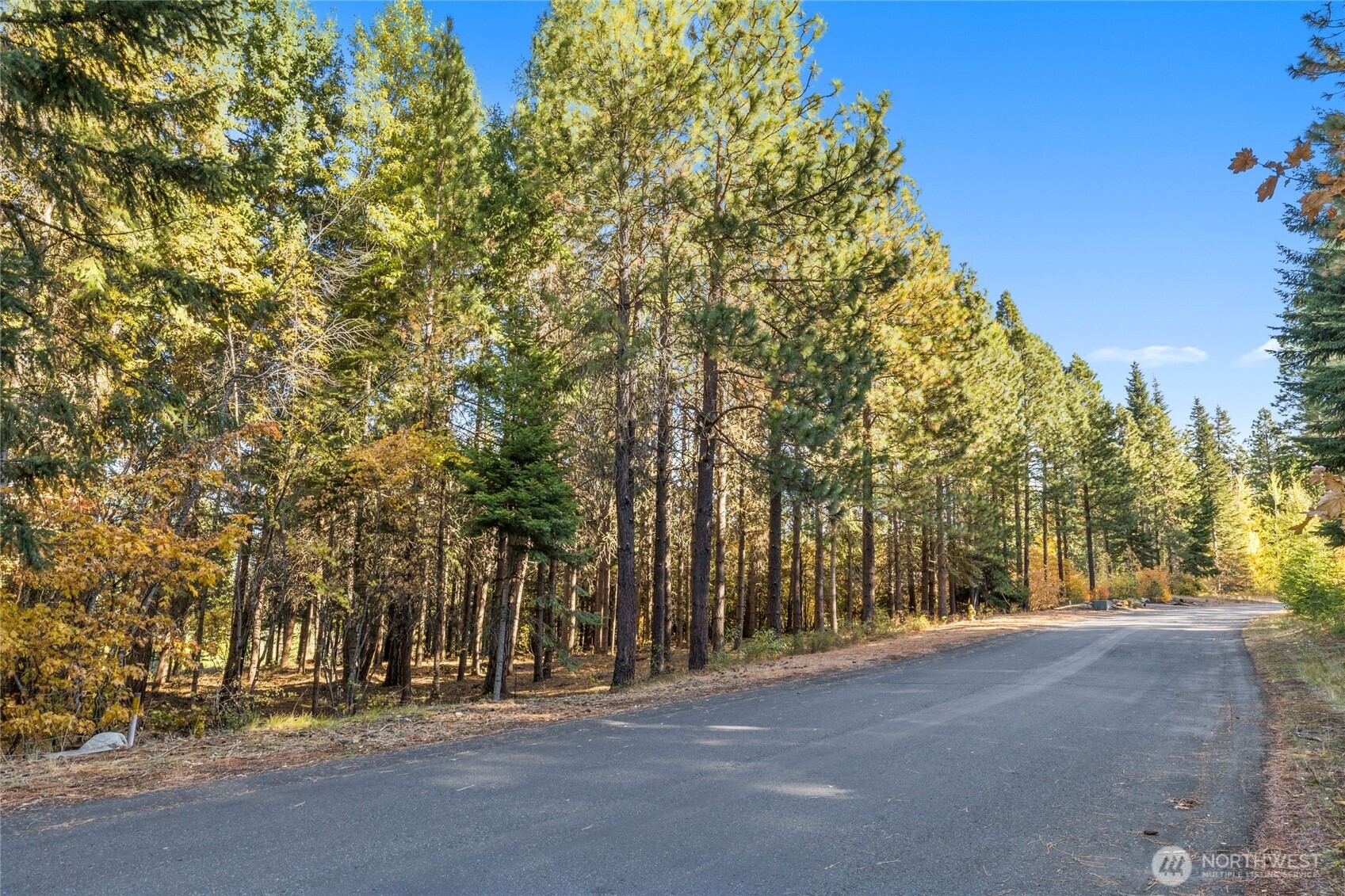 430 Iron Monarch Loop Cle Elum, WA 98922 - Photo 9 of 35 a view of road and trees