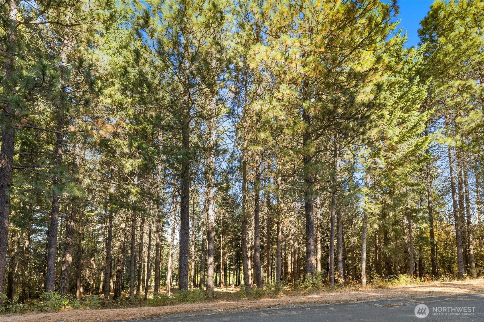 430 Iron Monarch Loop Cle Elum, WA 98922 - Photo 10 of 35 a view of a yard and basketball court