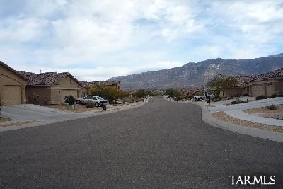 3603 East Northern Dancer Road Tucson, AZ 85739 - Photo 15 of 20