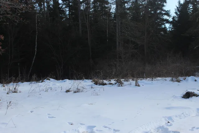 $60,000 | 48 Extract Road, Sherman, ME 04776