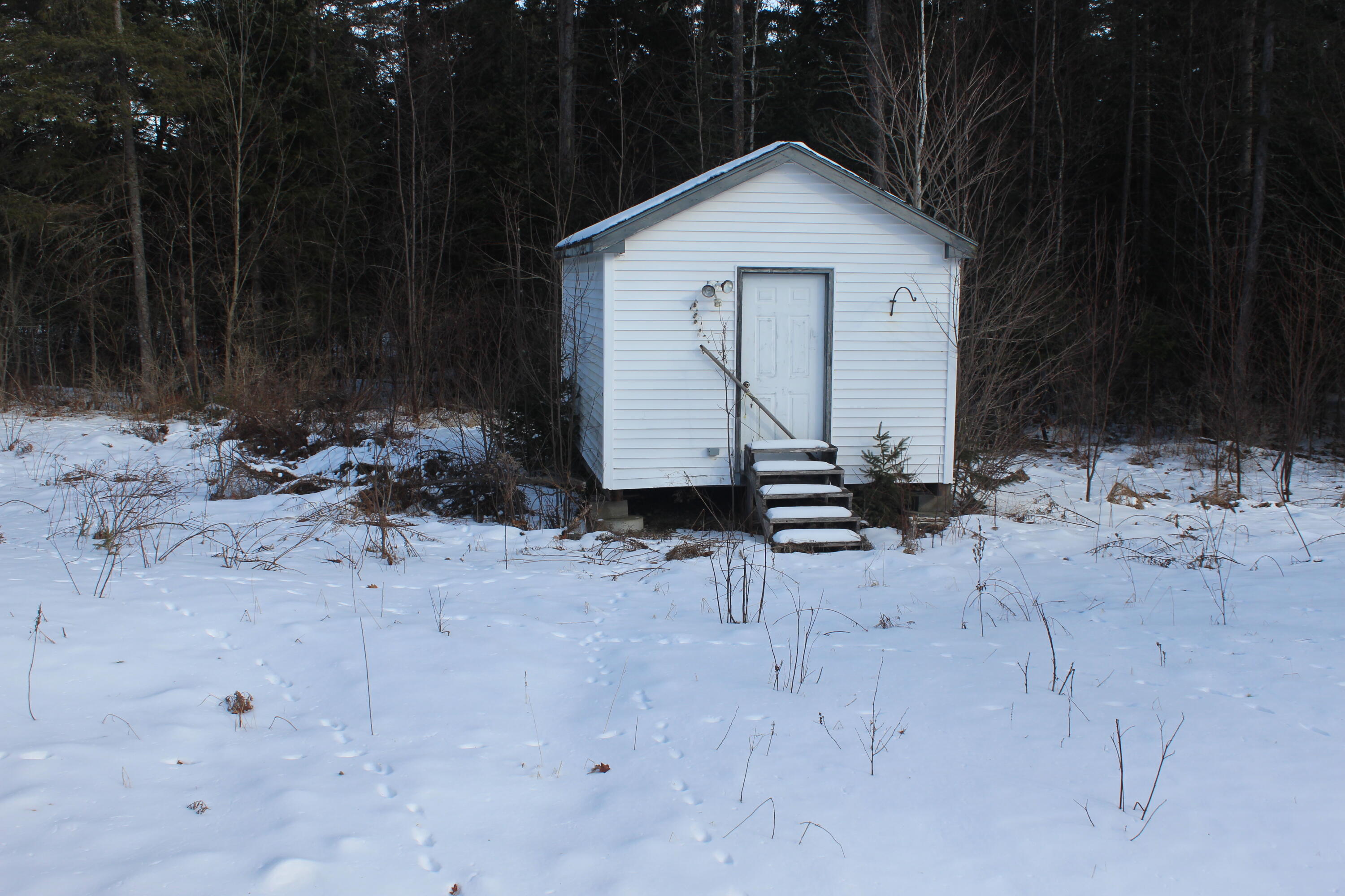 48 Extract Road Sherman, ME 04776 - Photo 8 of 8 IMG_6670