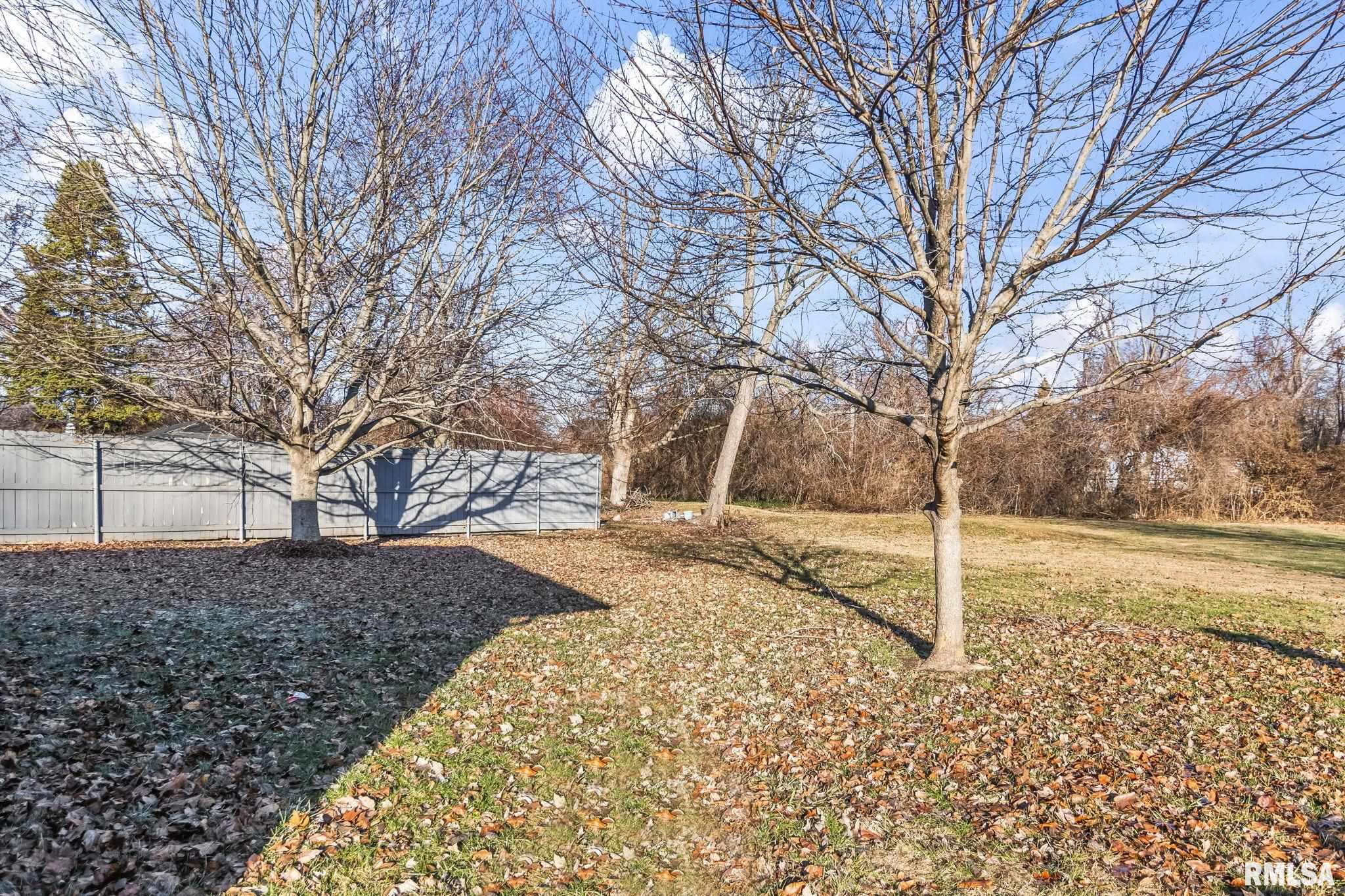 2337 Grinnell Drive Springfield, IL 62704 - Photo 38 of 39