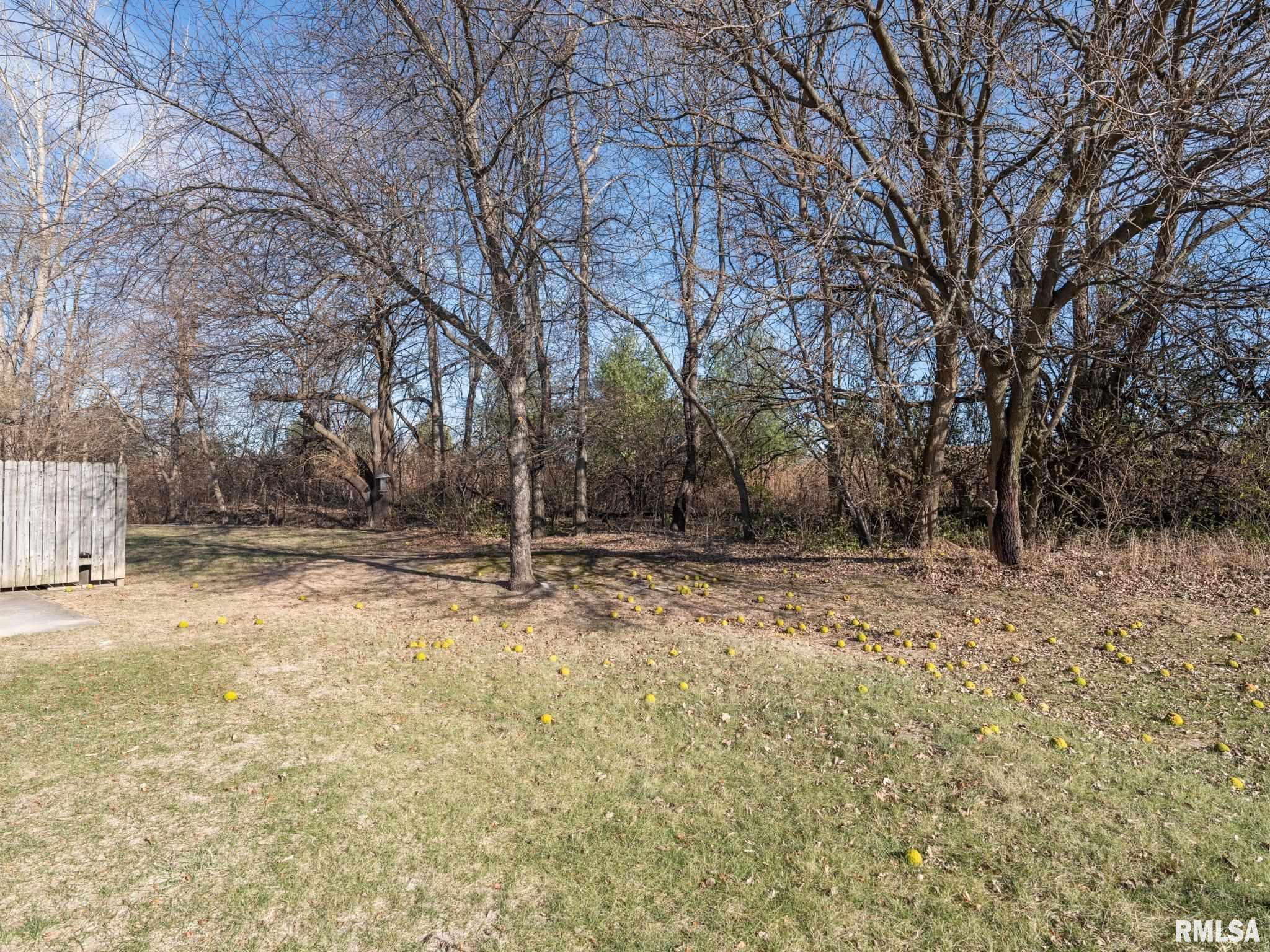 1628 West Geneva Road Peoria, IL 61615 - Photo 5 of 46 Gallery Image 5