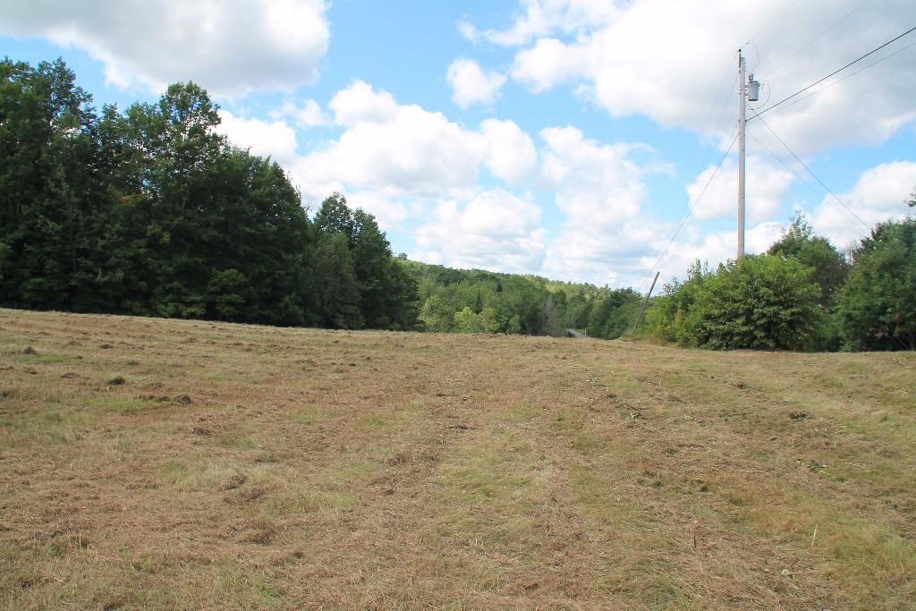 Lot 20 Lot Road Swanville, ME 04915 - Photo 6 of 10 Recently bushhogged