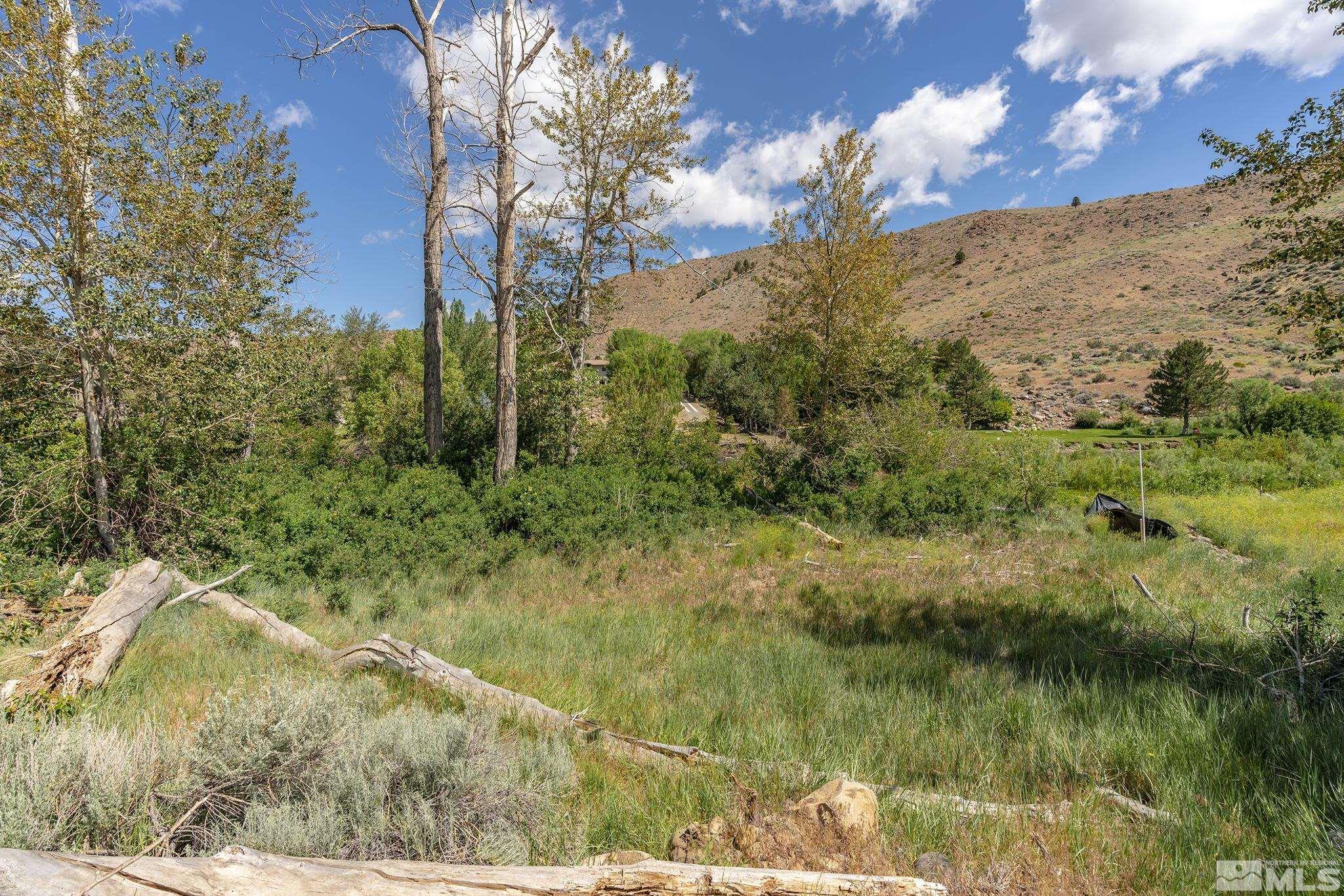 415 River Pines Drive, Unit 7 Reno, NV 89439 - Photo 4 of 27 a view of a lake with a mountain in the background