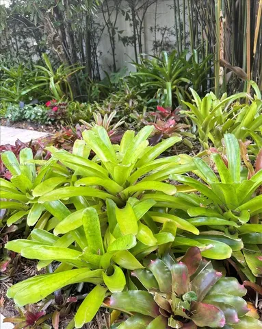 $1,239,000 | 617 Northeast 191st Street, Miami, FL 33179