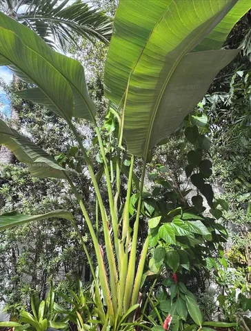 $1,239,000 | 617 Northeast 191st Street, Miami, FL 33179