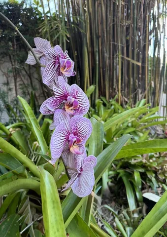 $1,239,000 | 617 Northeast 191st Street, Miami, FL 33179