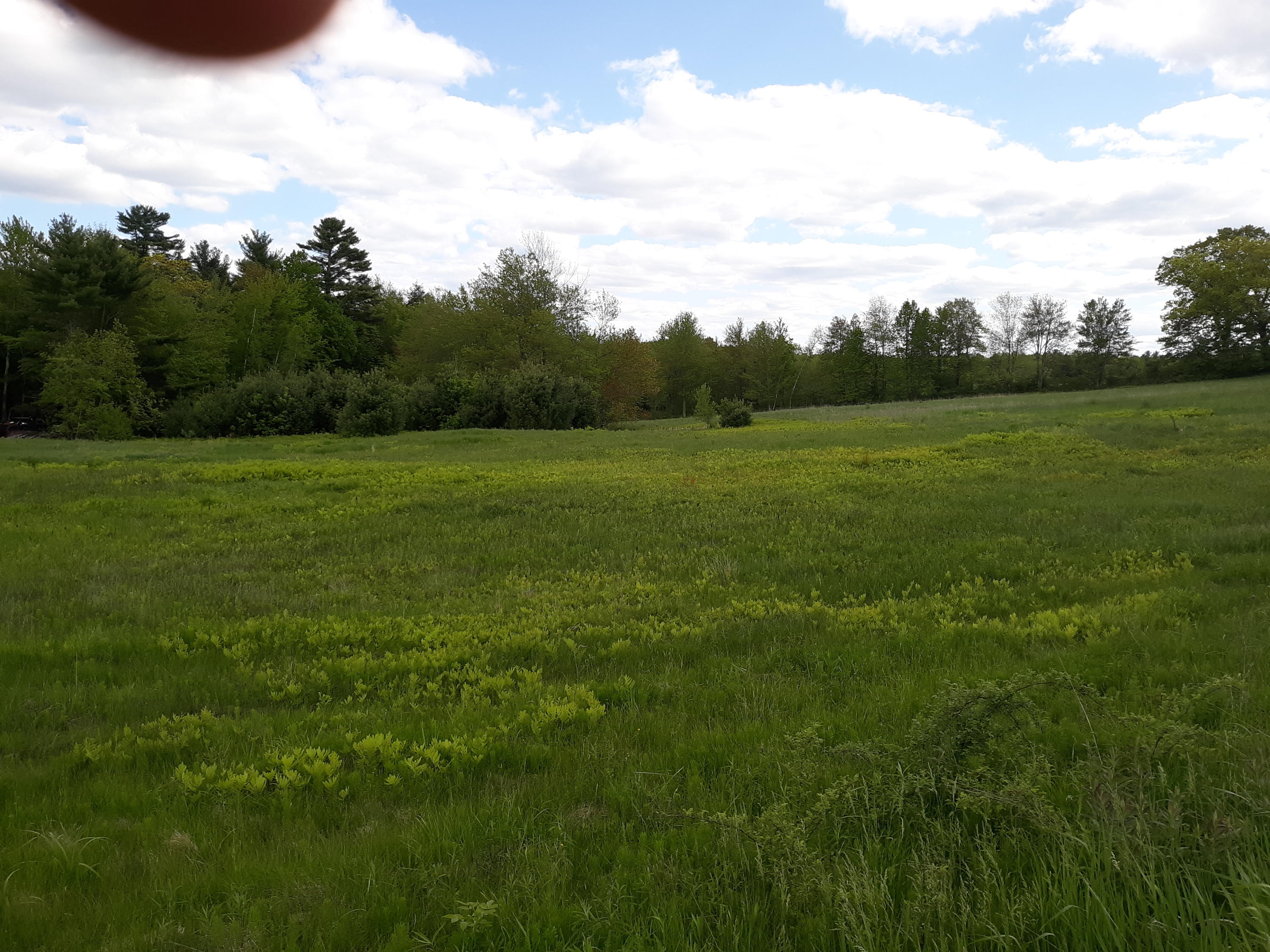 2478 Hallowell Road Litchfield, ME 04350 - Photo 16 of 21 20190604_154936