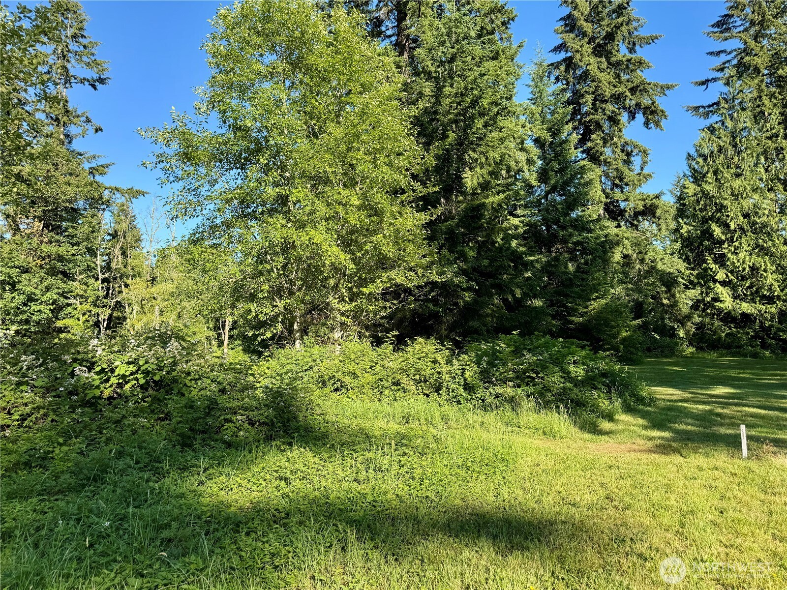 19112 Lerch Road Snohomish, WA 98290 - Photo 5 of 20
