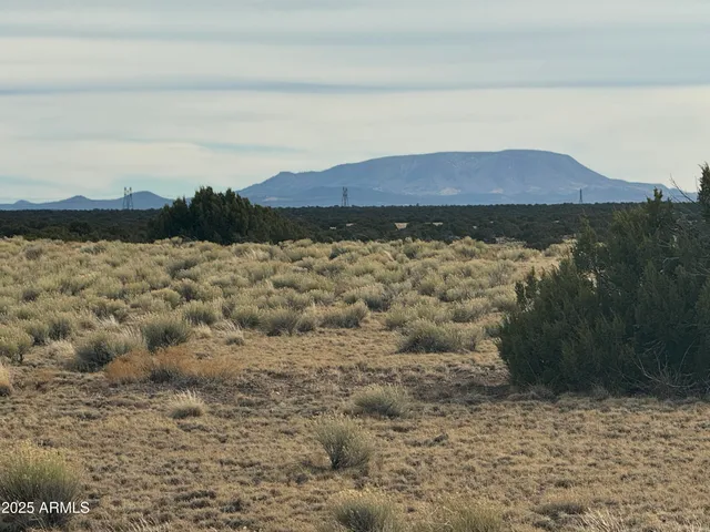 a view of a and covered with trees