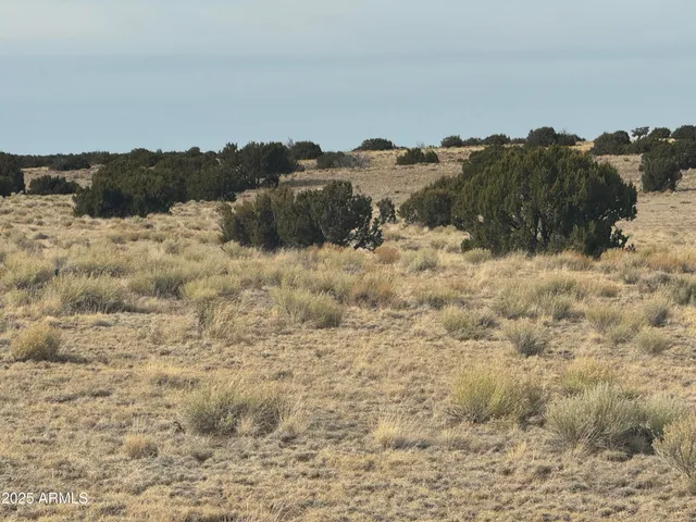 a view of ocean view