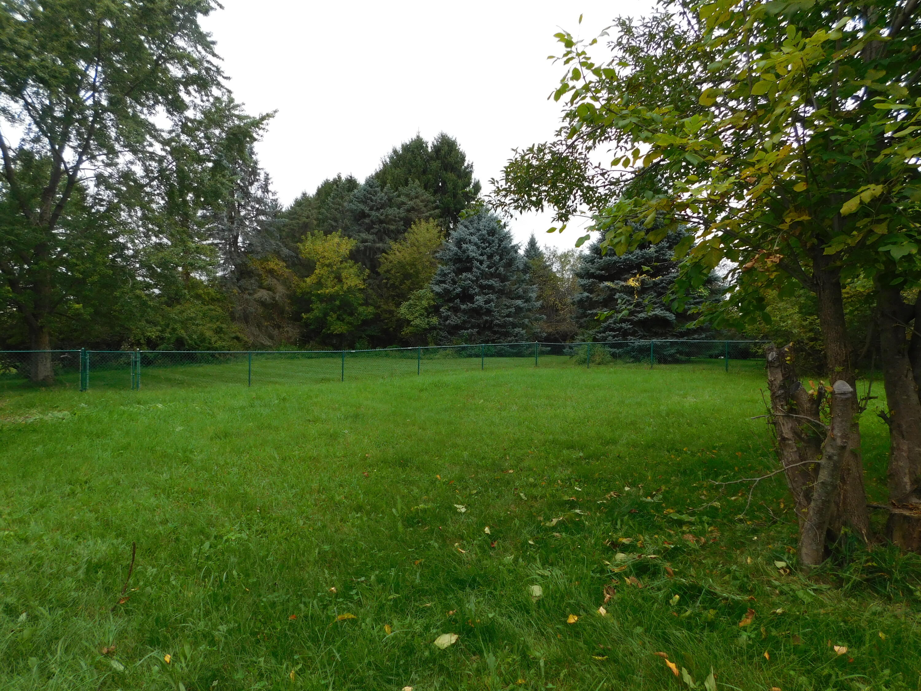 4890 Milett Road Fowlerville, MI 48836 - Photo 34 of 42 DSCN4331