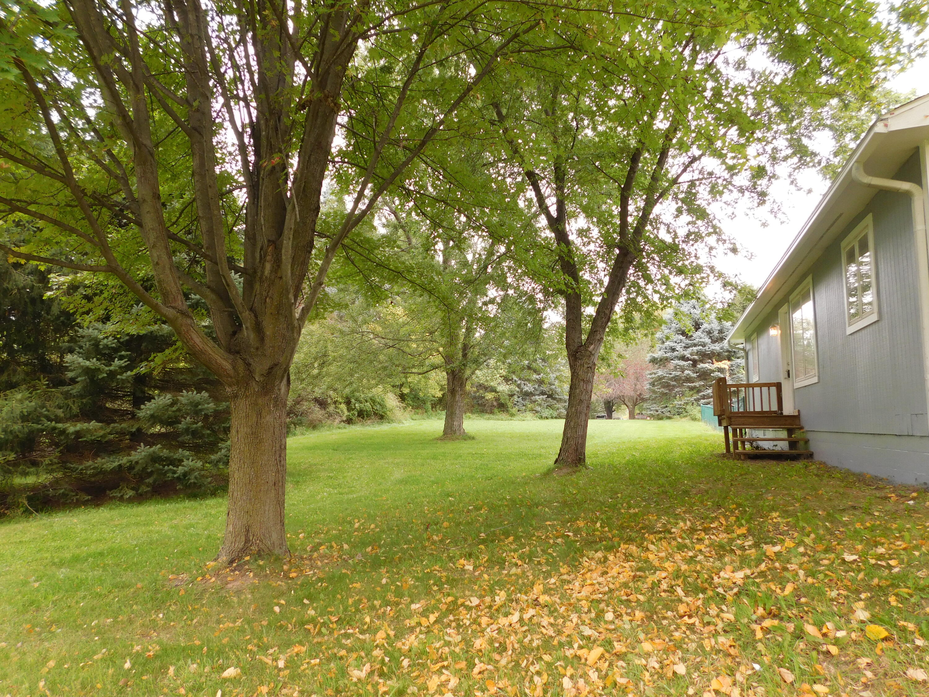 4890 Milett Road Fowlerville, MI 48836 - Photo 36 of 42 DSCN4334
