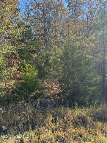 $84,900 | 139 David Cove, Byhalia, MS 38611