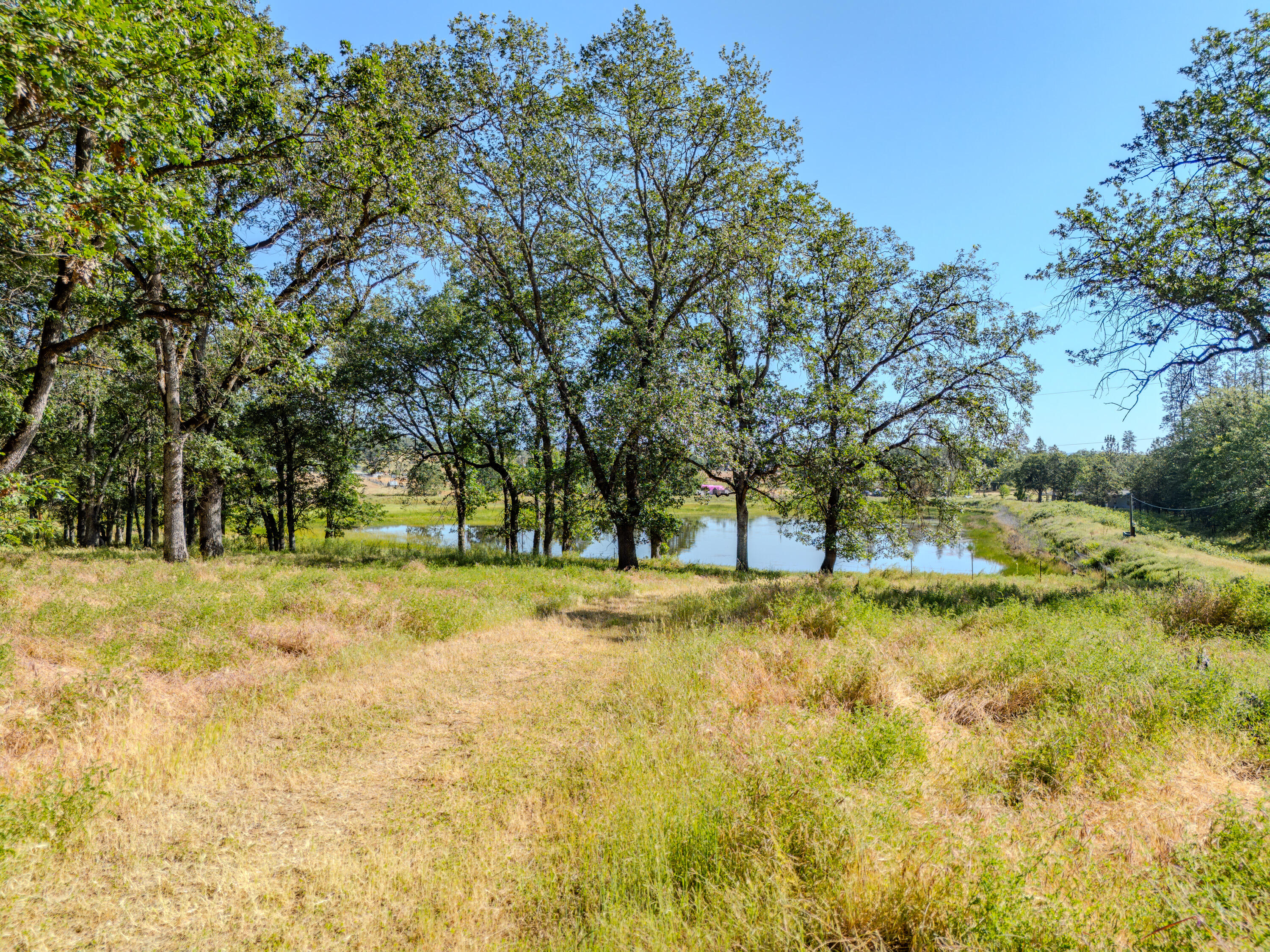 11775 Michael Road White City, OR 97503 - Photo 6 of 17 a view of yard with trees