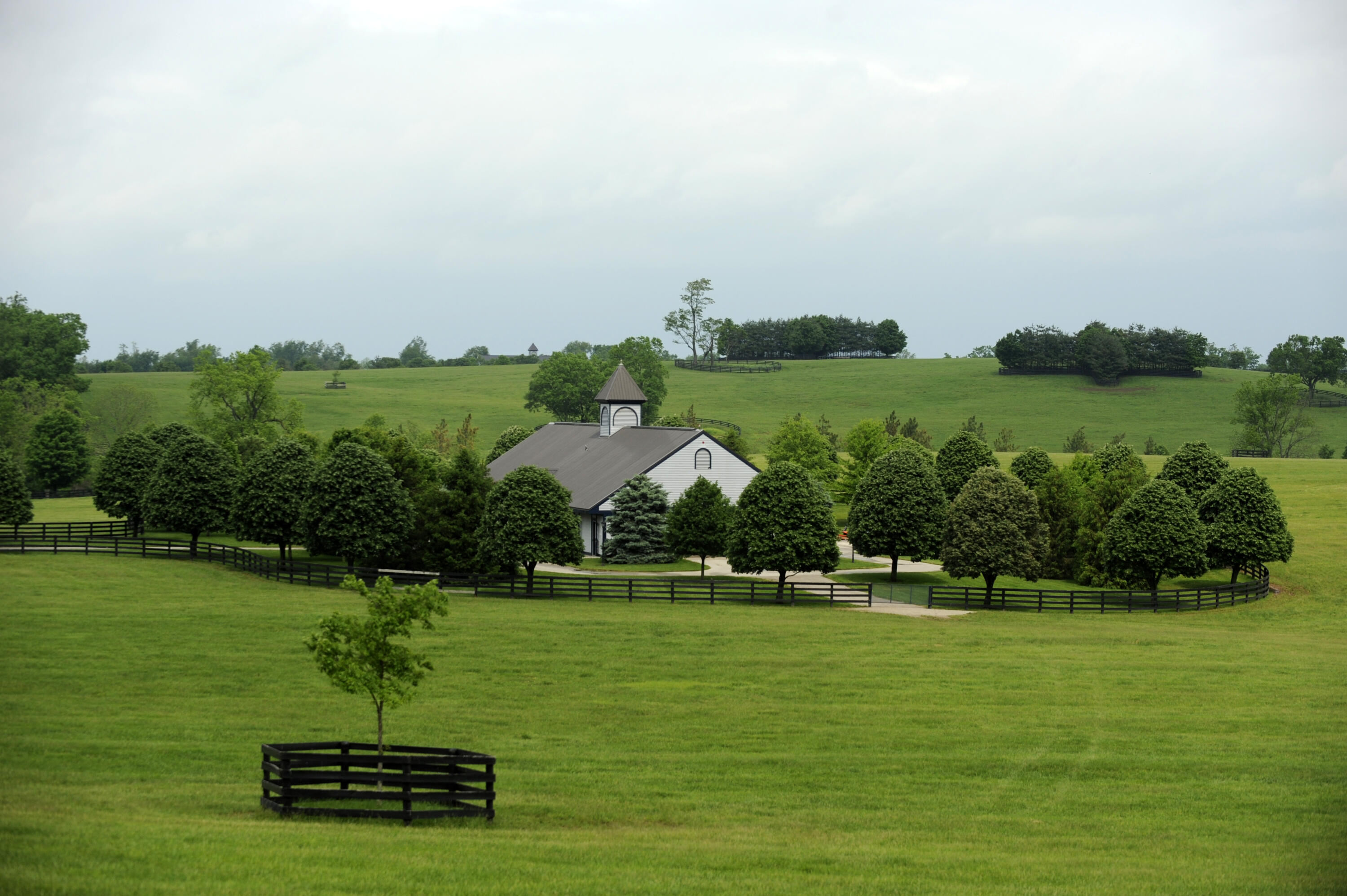 2121 West Leestown Road Midway, KY 40347 - Photo 27 of 40 shadayidbarn2.03A