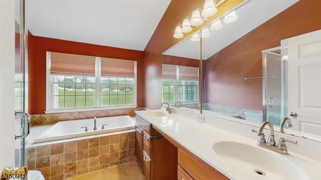 a bathroom with a sink and a large mirror