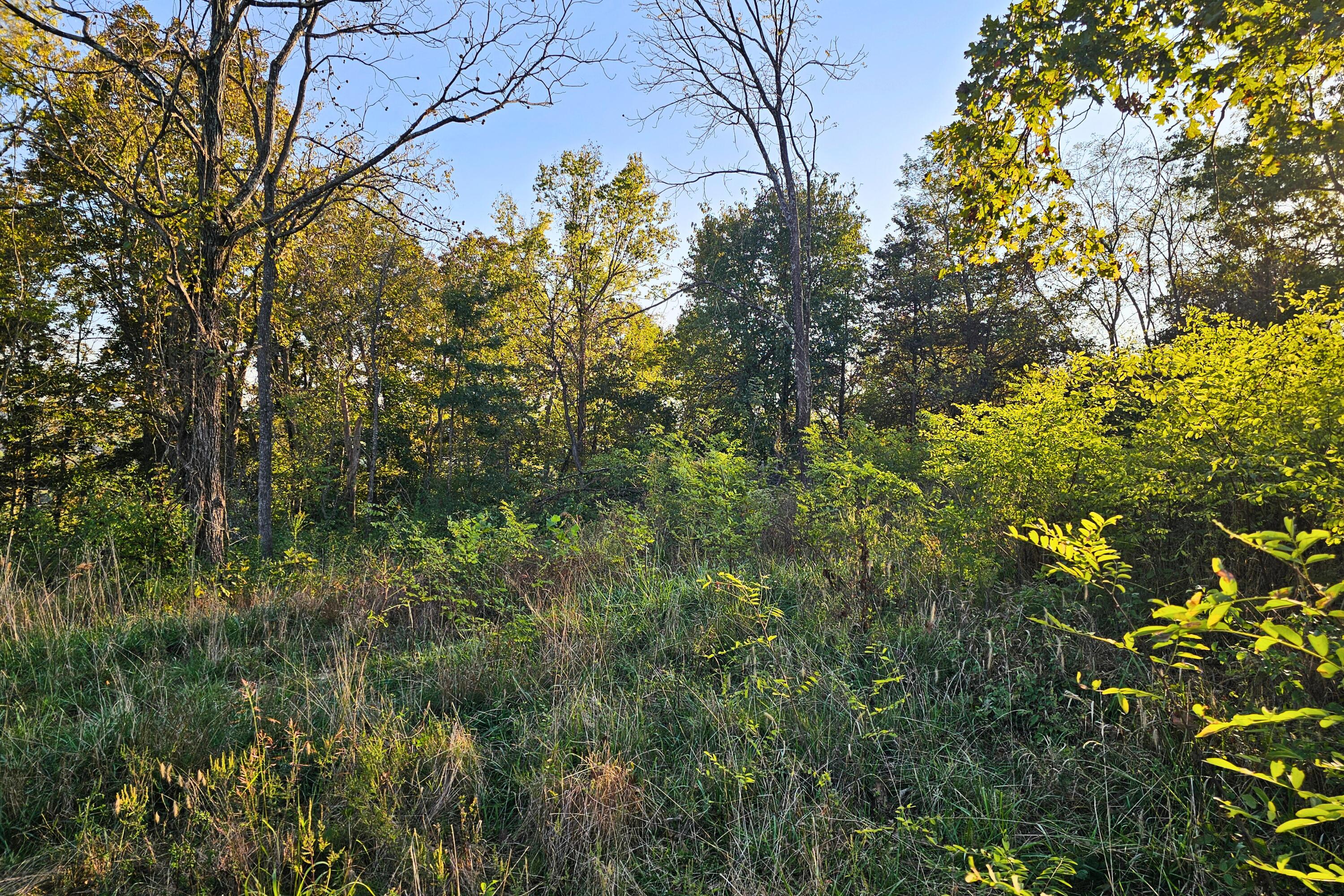 817 Ed Monroe Road Falmouth, KY 41040 - Photo 18 of 25 Gallery Image 18