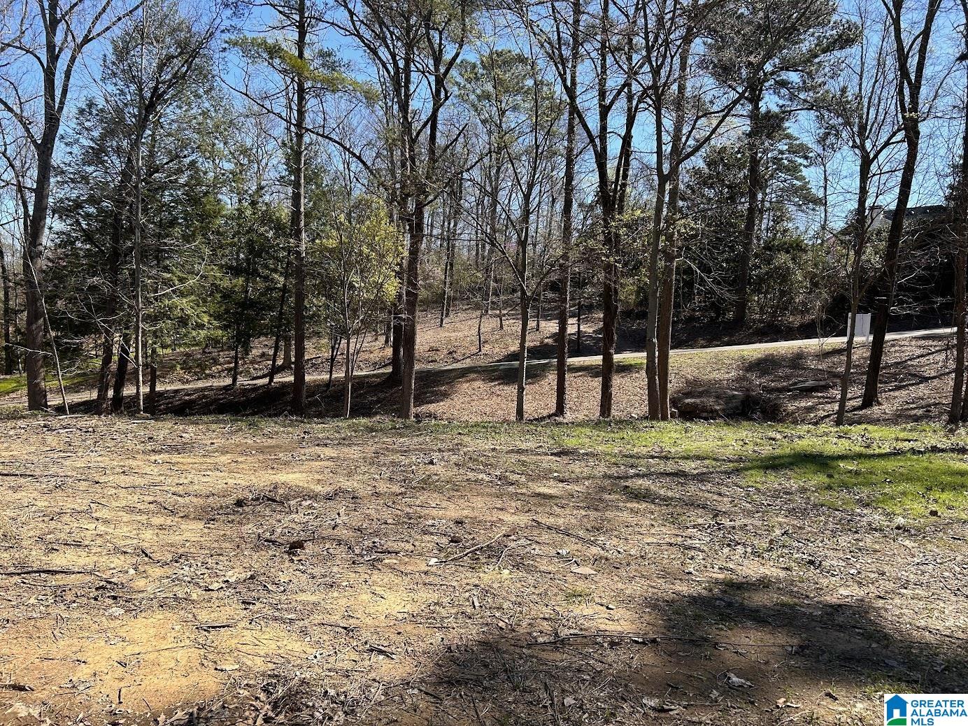 3300 Sherwood Road Birmingham, AL 35223 - Photo 6 of 16