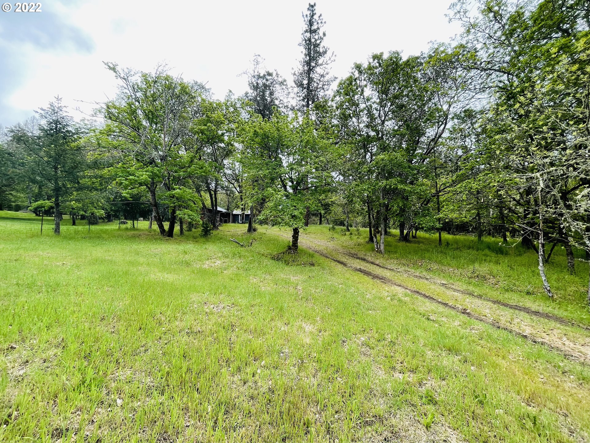 111 Old Cut Off Lane Riddle, OR 97469 - Photo 3 of 26 a view of park with trees