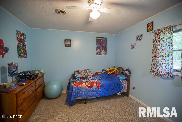 148 Hurricane Road Murphysboro, IL 62966 - Photo 35 of 50