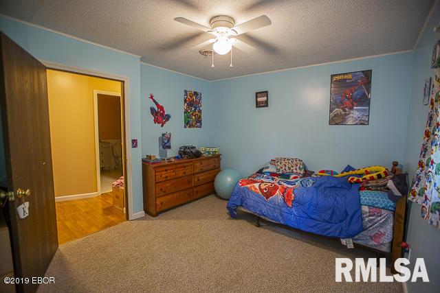 148 Hurricane Road Murphysboro, IL 62966 - Photo 36 of 50