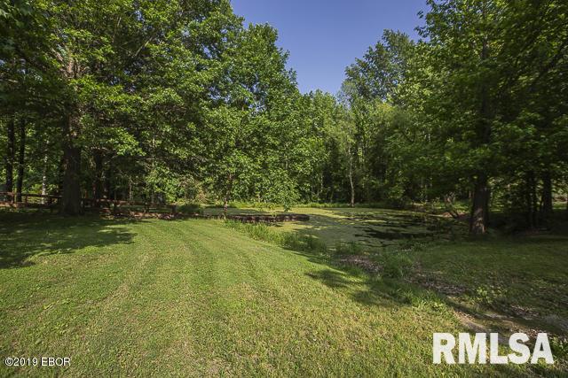 148 Hurricane Road Murphysboro, IL 62966 - Photo 42 of 50