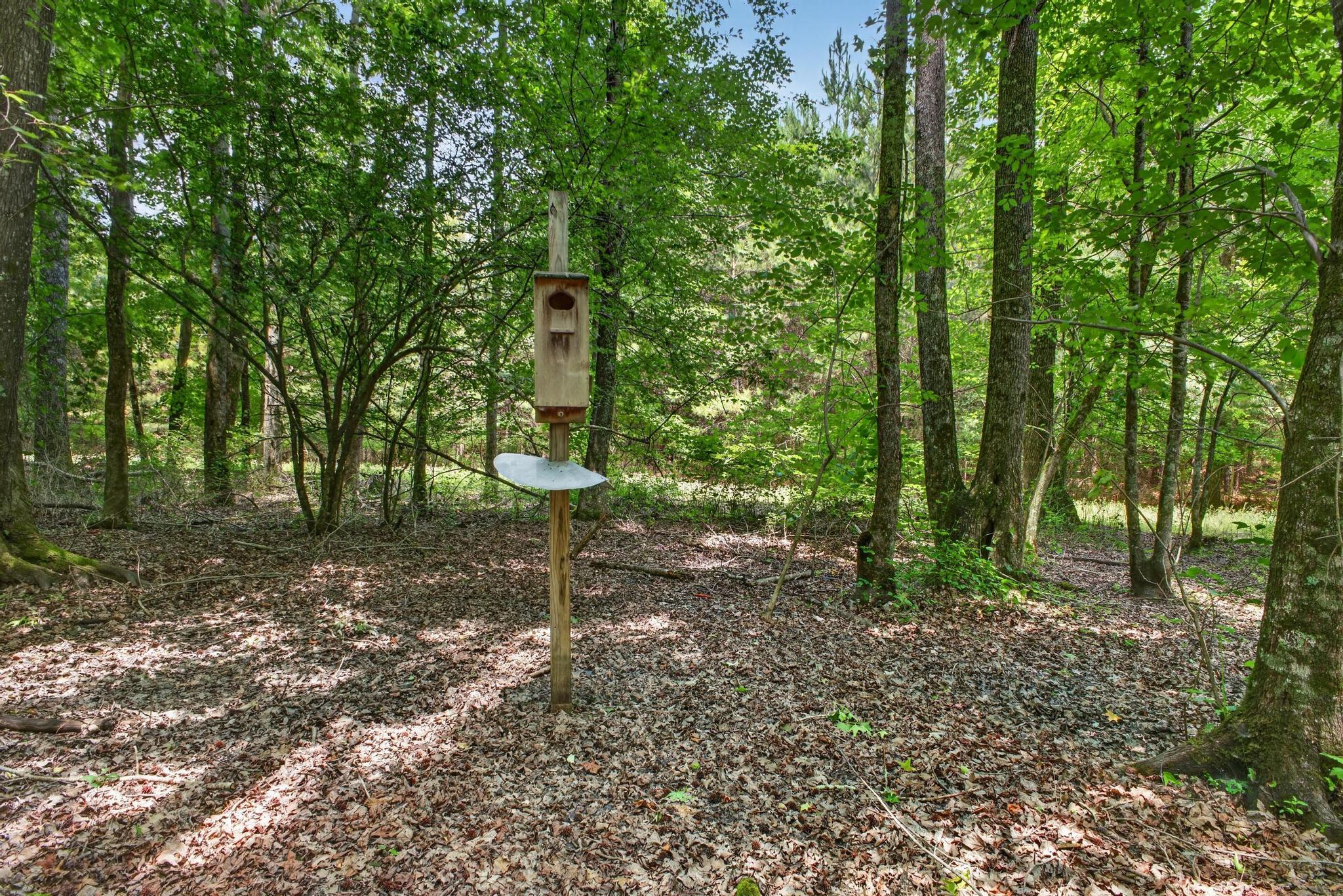 Tbd Pineywood Road, Unit TBD Saluda, SC 29138 - Photo 11 of 17