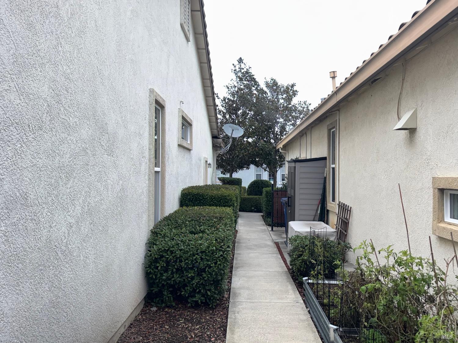 338 Gold Hills Drive Rio Vista, CA 94571 - Photo 24 of 27 a view of a patio with couches plants and large tree