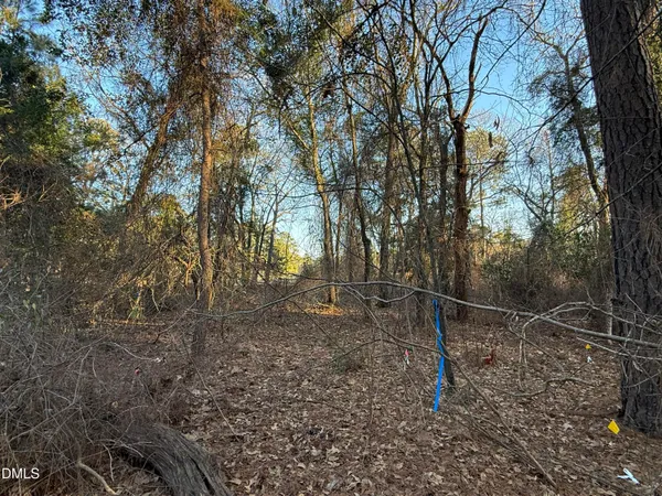 $29,500 | 114 Mourning Dove Lane, Goldsboro, NC 27534