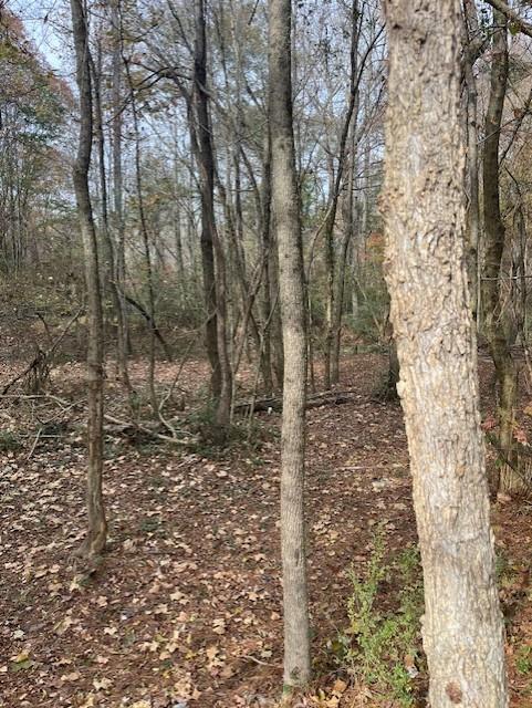 0 Old Bill Cook Road Atlanta, GA 30349 - Photo 11 of 12 a view of a yard with trees