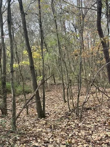 a view of a yard with large trees