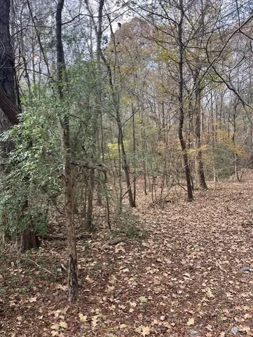 $55,000 | 0 Old Bill Cook Road, Atlanta, GA 30349