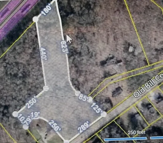 a view of a swimming pool with a yard