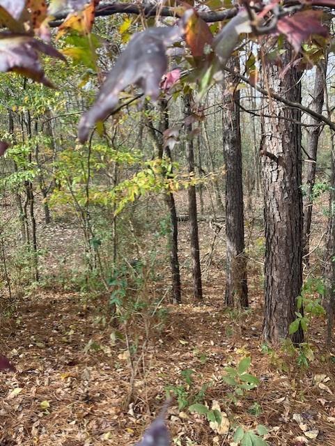 0 Old Bill Cook Road Atlanta, GA 30349 - Photo 3 of 12 a view of a yard with plants and trees