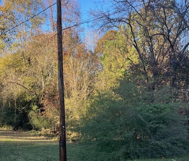 0 Old Bill Cook Road Atlanta, GA 30349 - Photo 5 of 12 a view of a yard