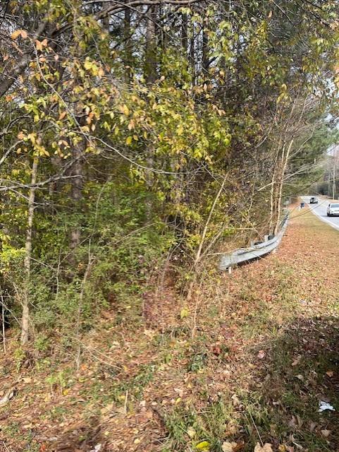 0 Old Bill Cook Road Atlanta, GA 30349 - Photo 6 of 12 a view of a yard with a tree