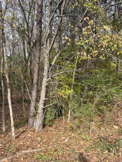 0 Old Bill Cook Road Atlanta, GA 30349 - Photo 7 of 12 a view of a yard