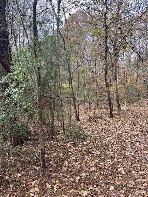 0 Old Bill Cook Road Atlanta, GA 30349 - Photo 10 of 12 a view of a yard with trees