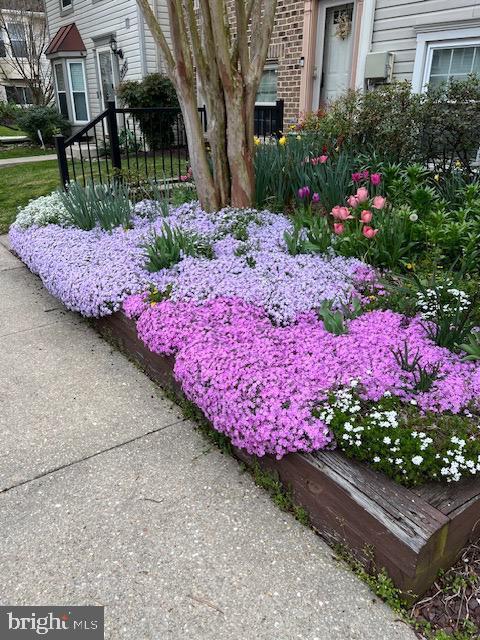 3404 Epic Gate Bowie, MD 20716 - Photo 43 of 47 Front Yard - When In Bloom