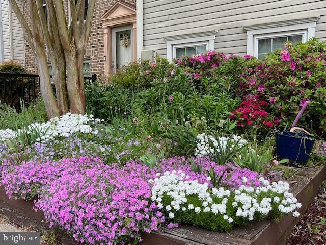 3404 Epic Gate Bowie, MD 20716 - Photo 44 of 47 Front Yard - When In Bloom