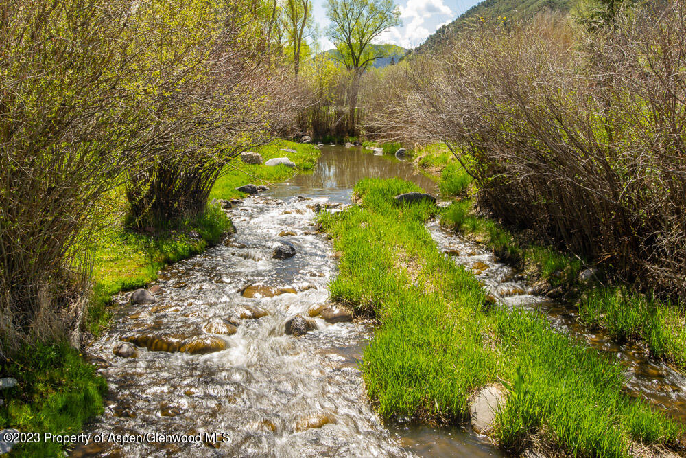 26 Altamira Ranch Road Basalt, CO 81621 - Photo 36 of 40 a view of a yard with plants