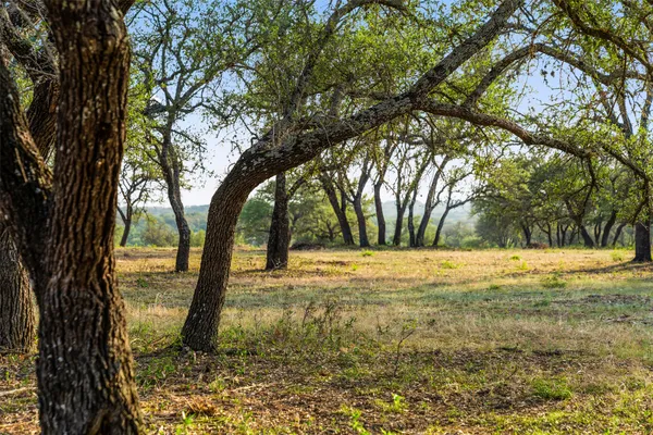 Private Road #10 Pedernales Canyon Trail, Spicewood, TX 78669