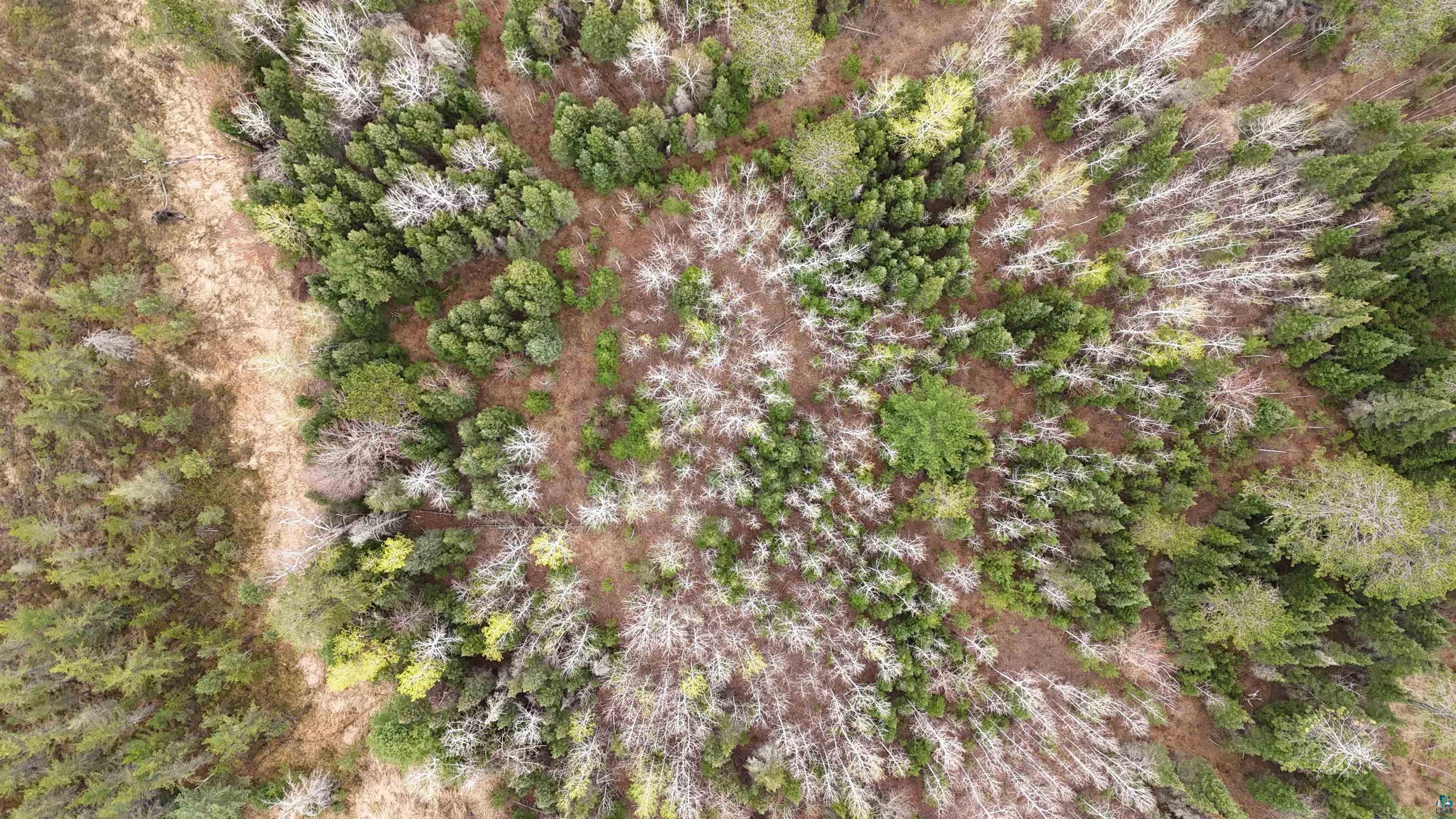 Tbd Scout Camp Road Eveleth, MN 55734 - Photo 6 of 15