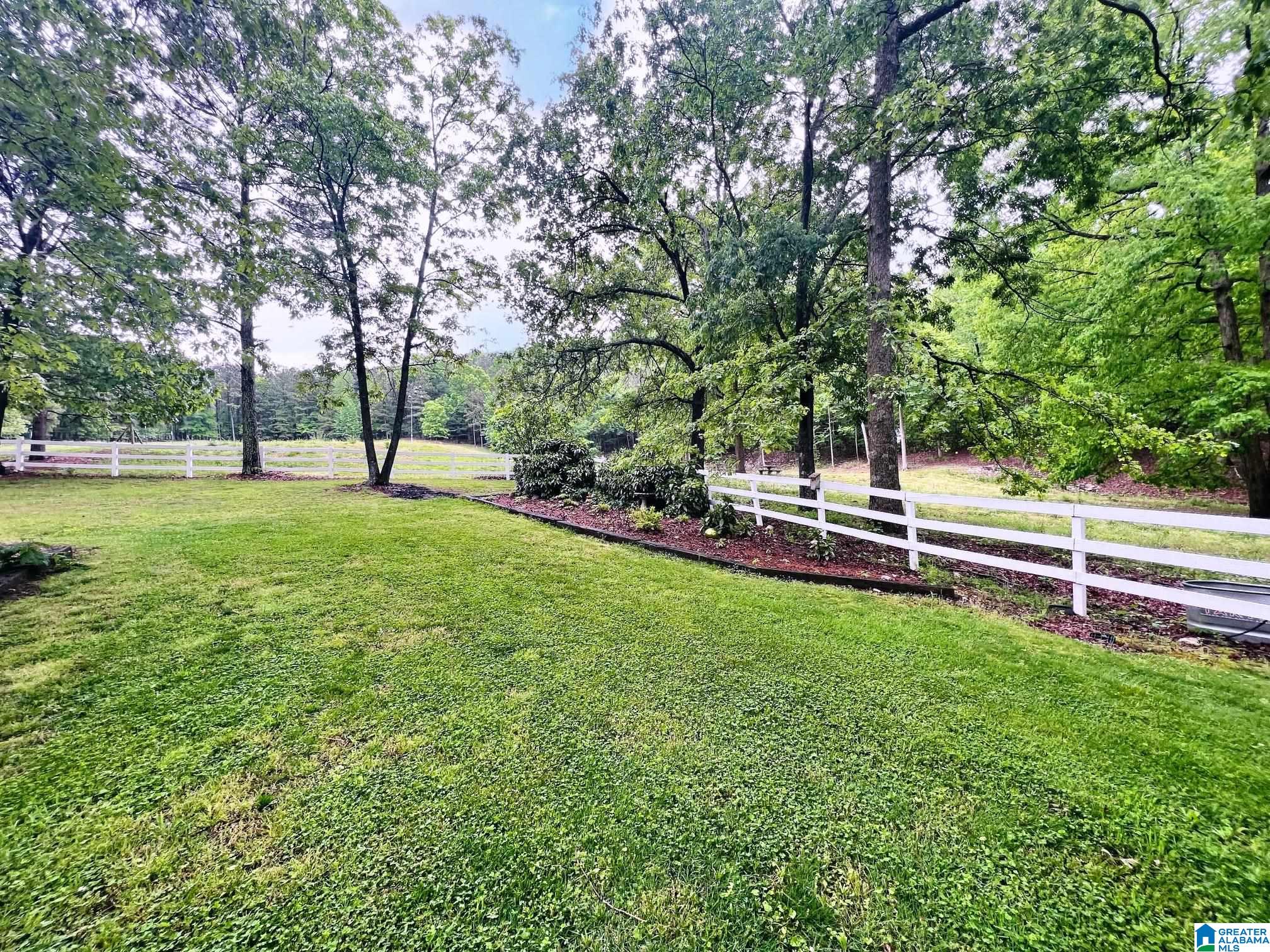 855 Oak Ridge Lane Piedmont, AL 36272 - Photo 44 of 50