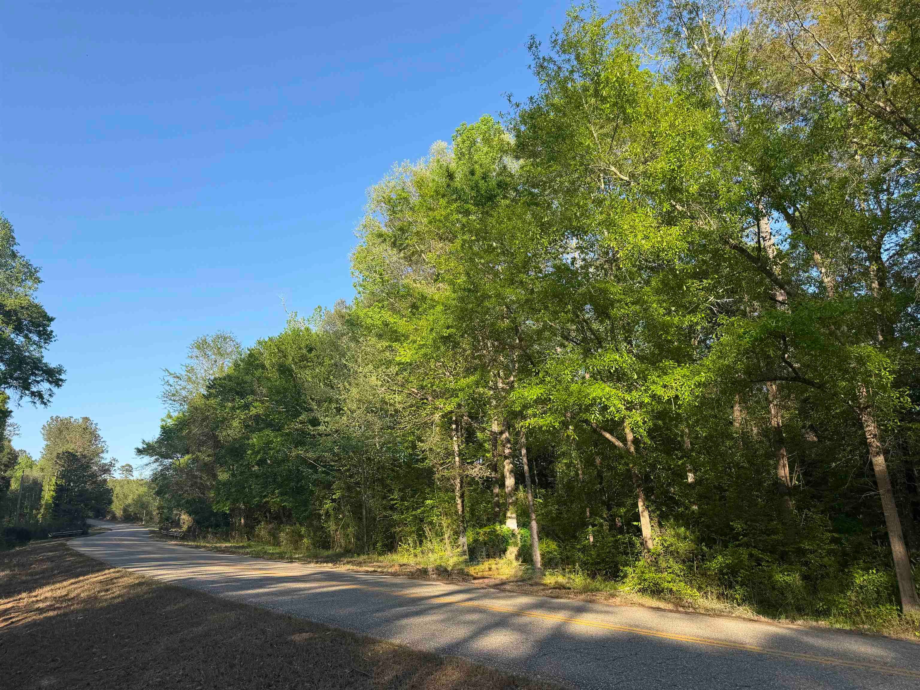 0 Leon Tower Road Brantley, AL 36009 - Photo 25 of 27 Gallery Image 25