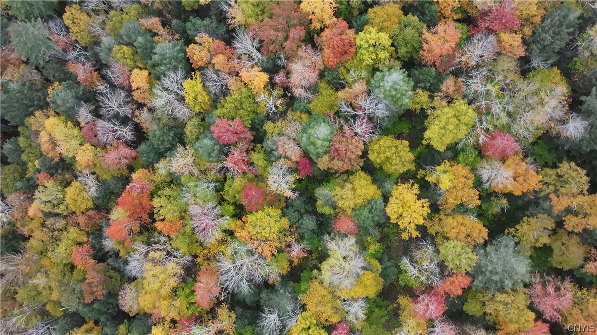 L1 Huntley Hollow Road Delancey, NY 13752 - Photo 11 of 20