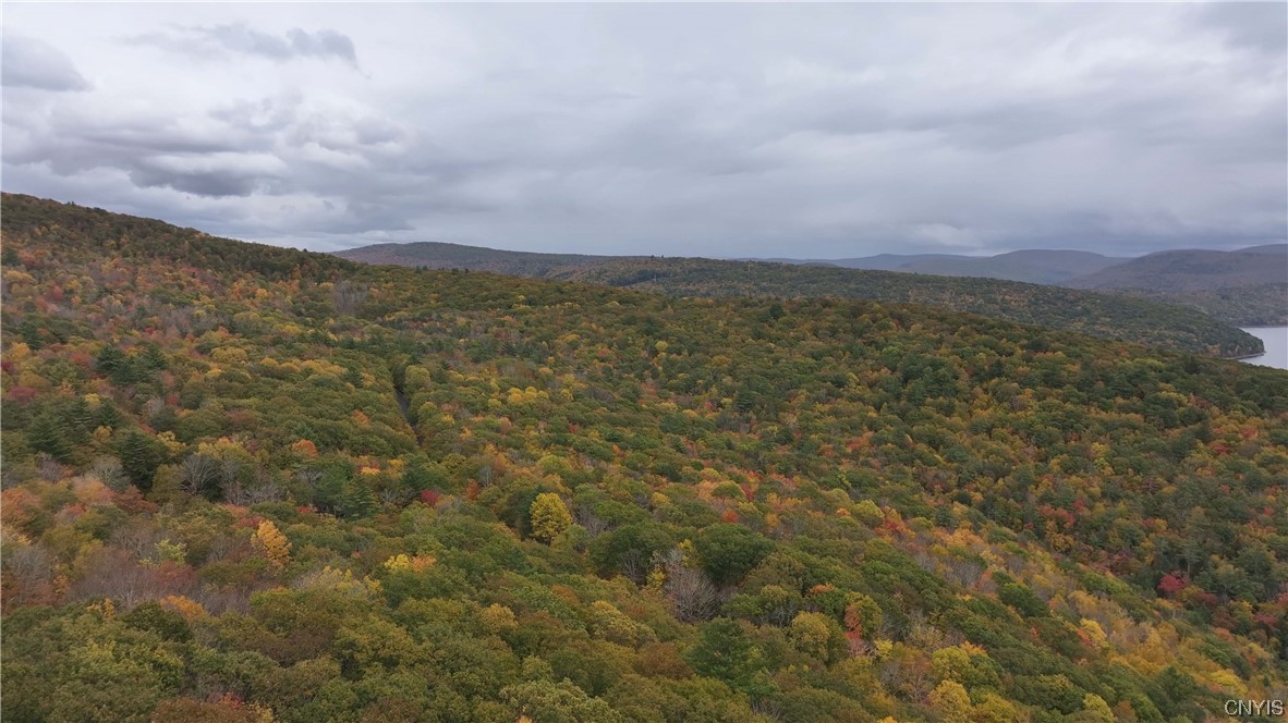 L1 Huntley Hollow Road Delancey, NY 13752 - Photo 13 of 20